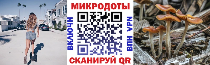 Псилоцибиновые грибы мицелий  Усть-Лабинск 